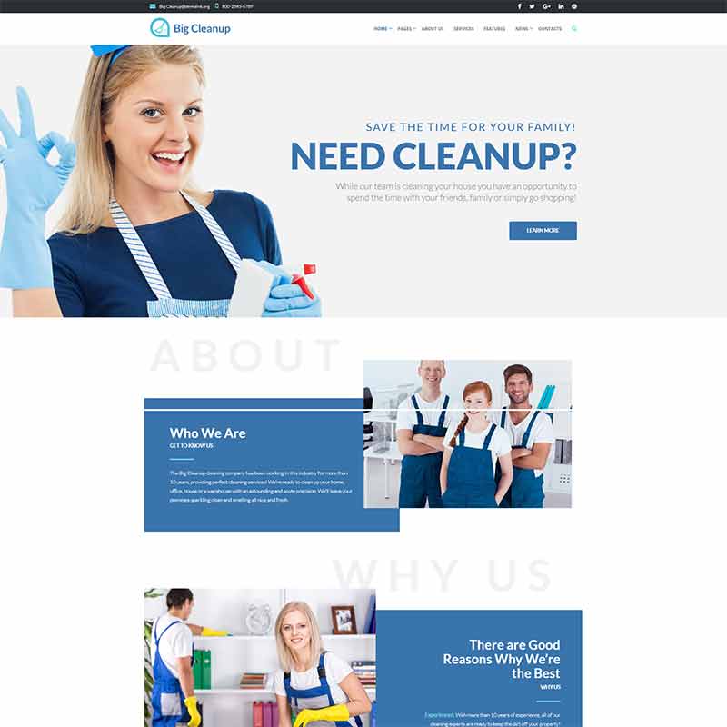 Big Cleanup - Cleaning Services Responsive WordPress Theme